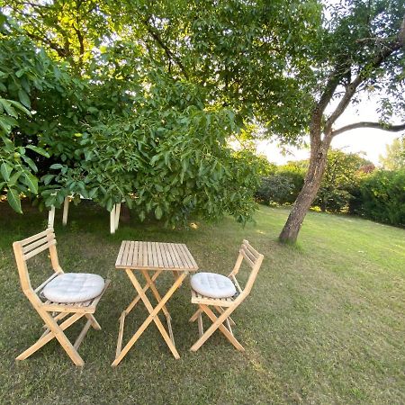 Au Paradis D'Alsace 55 M2 Nature & Relax Ingwiller Luaran gambar