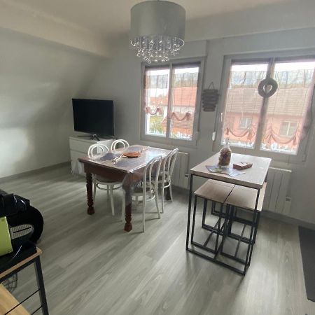 Au Paradis D'Alsace 55 M2 Nature & Relax Ingwiller Luaran gambar
