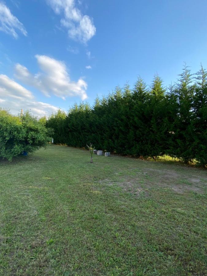 Au Paradis D'Alsace 55 M2 Nature & Relax Ingwiller Luaran gambar