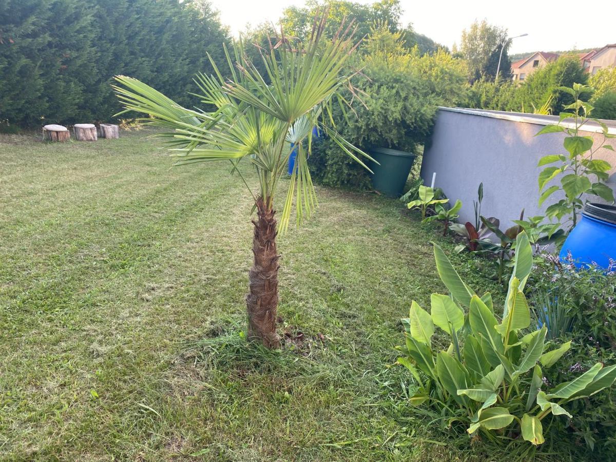 Au Paradis D'Alsace 55 M2 Nature & Relax Ingwiller Luaran gambar