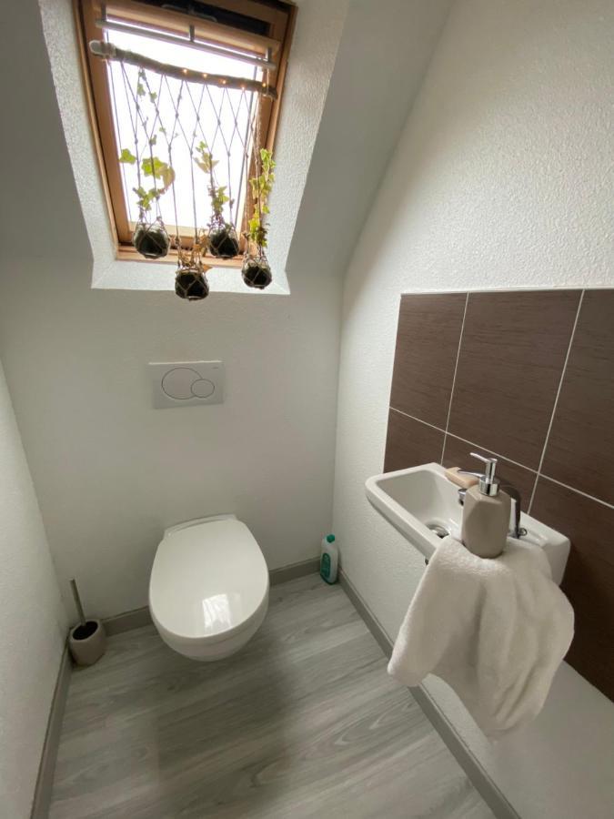 Au Paradis D'Alsace 55 M2 Nature & Relax Ingwiller Luaran gambar