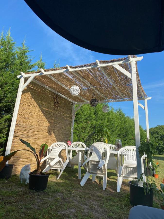Au Paradis D'Alsace 55 M2 Nature & Relax Ingwiller Luaran gambar