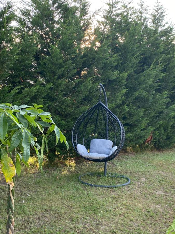 Au Paradis D'Alsace 55 M2 Nature & Relax Ingwiller Luaran gambar
